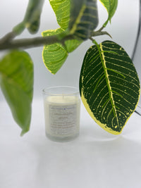 Fragrante Isabelle ~ 𝚜𝚠𝚎𝚎𝚝 𝚌𝚘𝚌𝚘𝚗𝚞𝚝 𝚌𝚛𝚎𝚊𝚖 ~ Candle 6oz