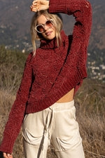 The Vanessa ~ Blood Red Cropped Eyelet Cutout Turtleneck Pullover Sweater from POL!