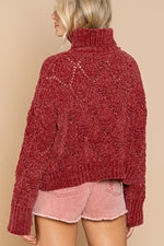 The Vanessa ~ Blood Red Cropped Eyelet Cutout Turtleneck Pullover Sweater from POL!