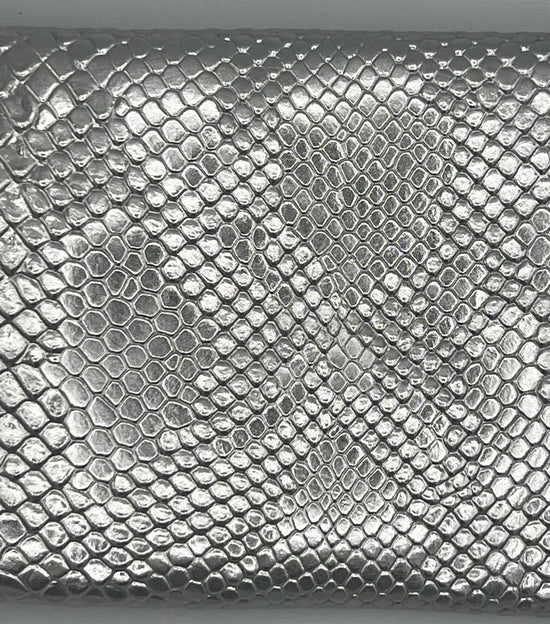 MAKEUP JUNKIE ~ The Silver Serpent Onyx Bag ~ Mini